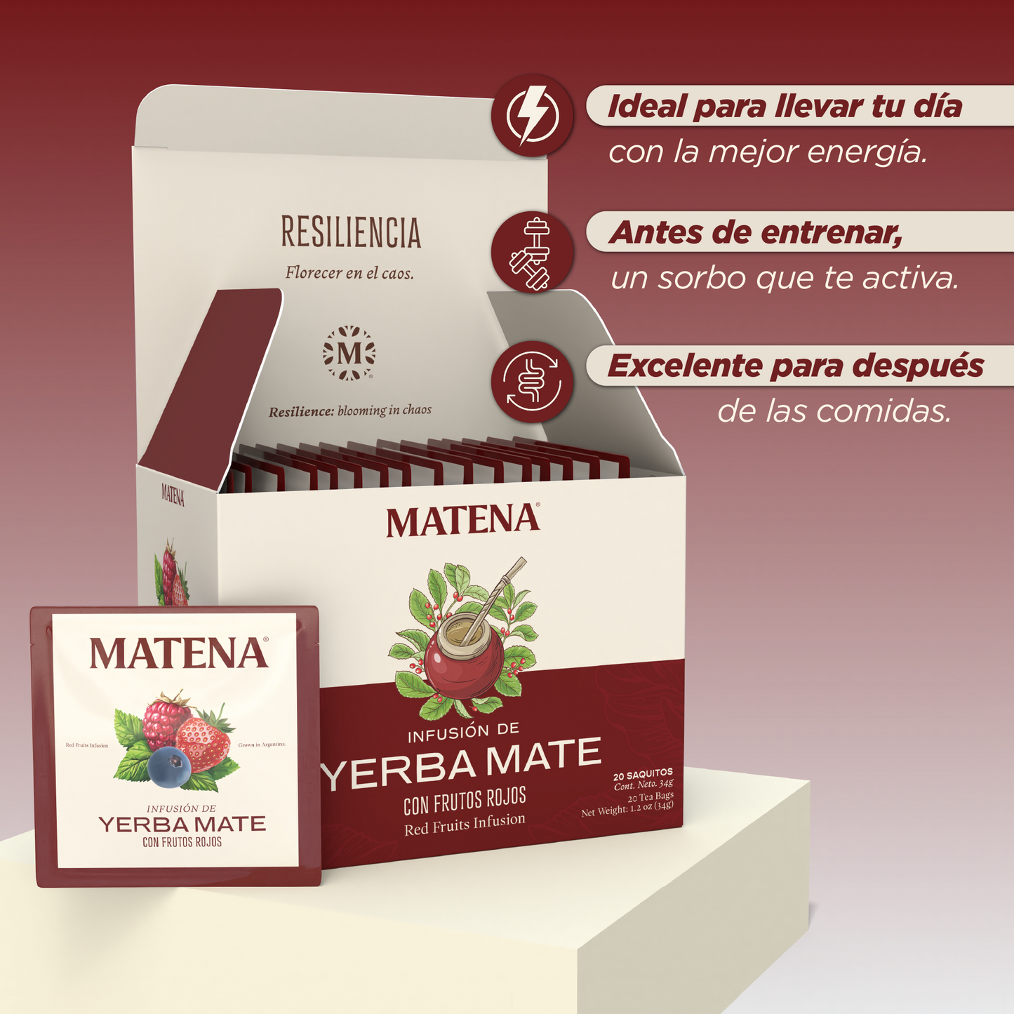 Yerba Mate en Saquitos con FRUTOS ROJOS (caja x 20 unidades)