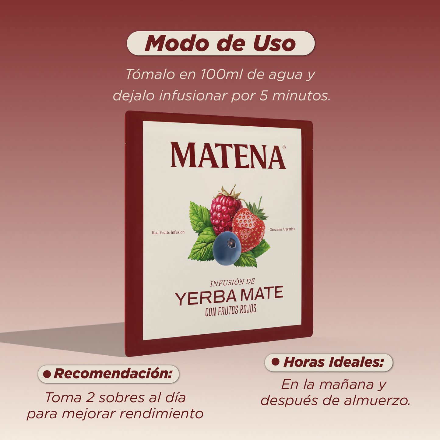 Yerba Mate en Saquitos con FRUTOS ROJOS (caja x 20 unidades)