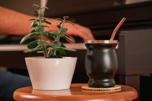 El Mate Argentino