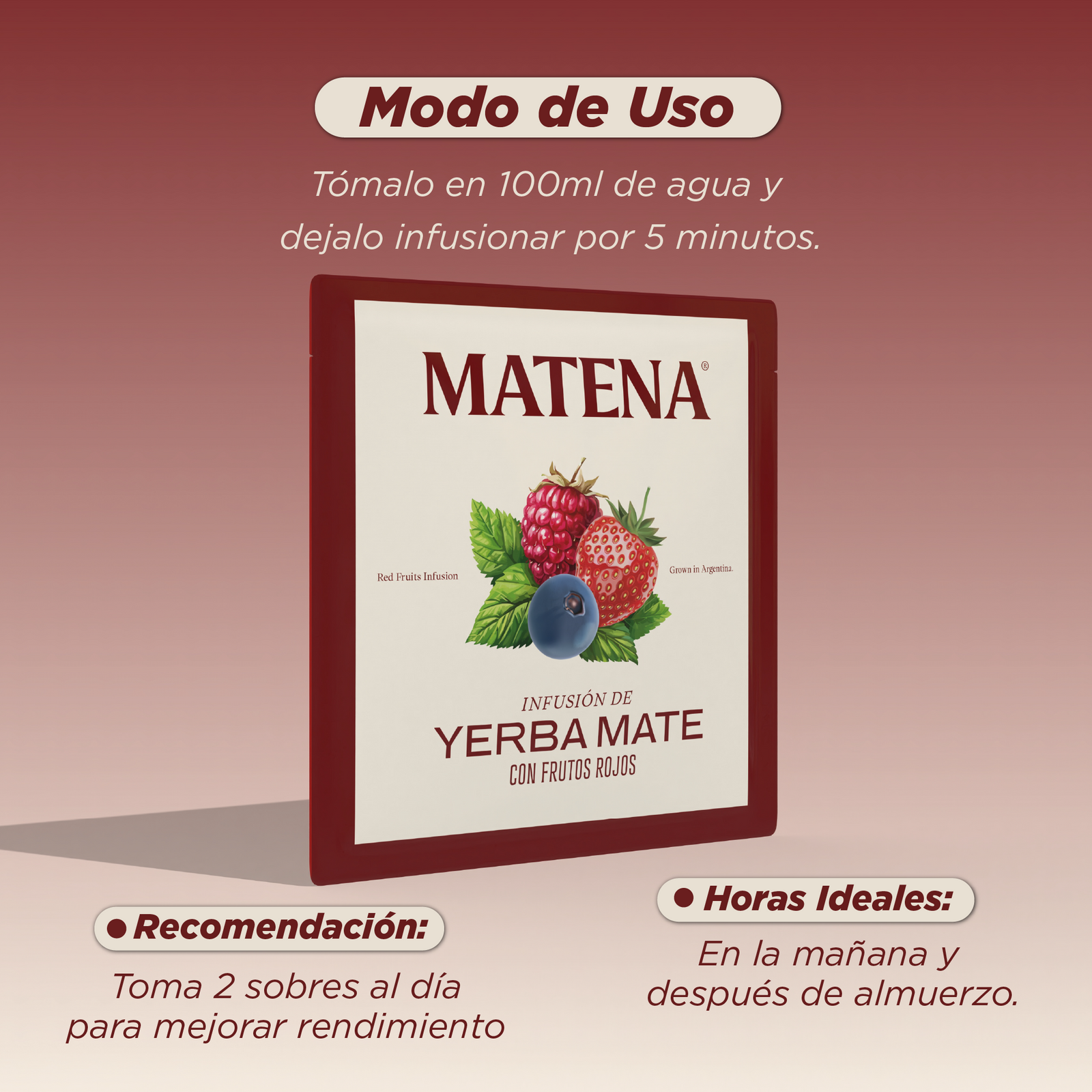 Yerba Mate en Saquitos con FRUTOS ROJOS (caja x 20 unidades)